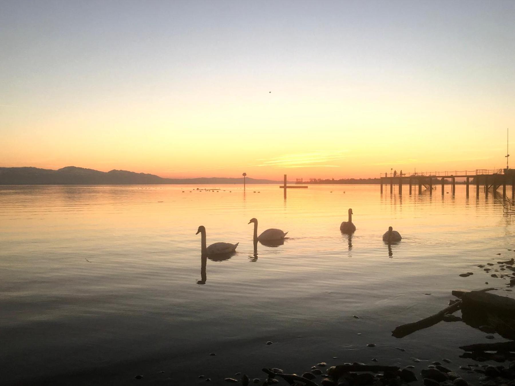 Ferienwohnung Luna Lindau  Buitenkant foto